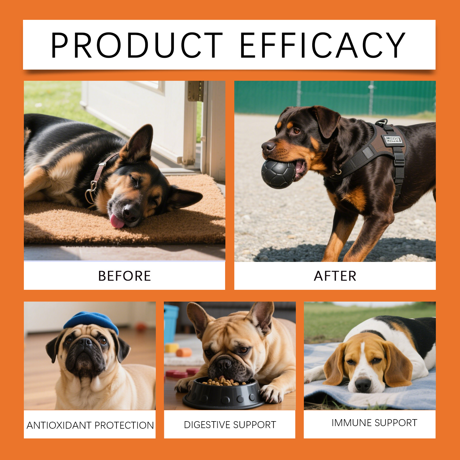 Gocce Erboristiche per Cani -  - Herbal Wellness Drops recensione e prezzo